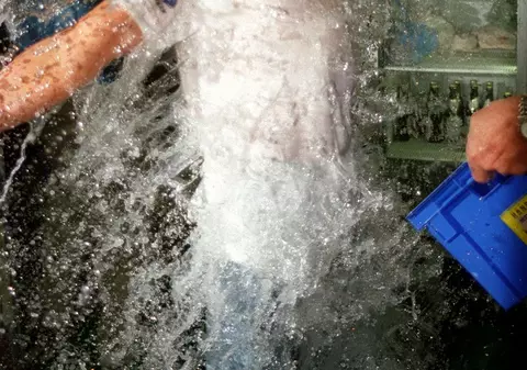 10 curiozități despre banala APĂ