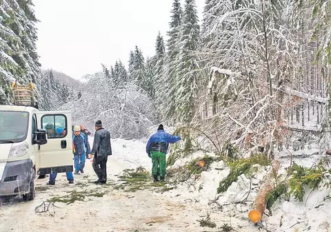 Zăpada şi defrişările au stins lumina în Parâng