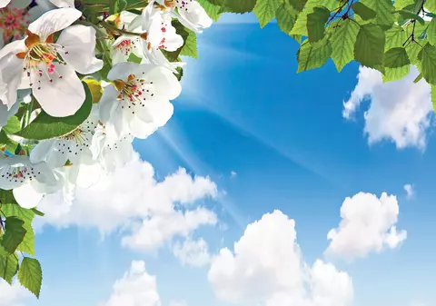 Horoscopul primăverii | Astrologul Libertății ne dezvăluie cum ne va merge în martie, aprilie și mai