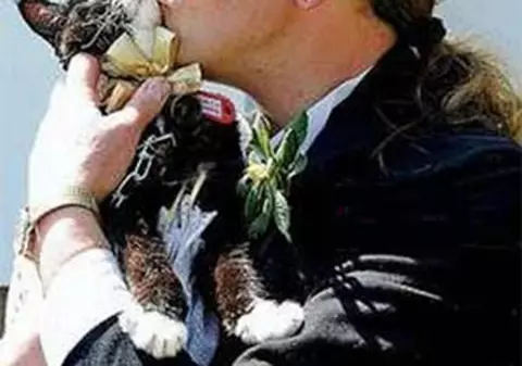 CELE MAI CIUDATE CĂSĂTORII DIN LUME