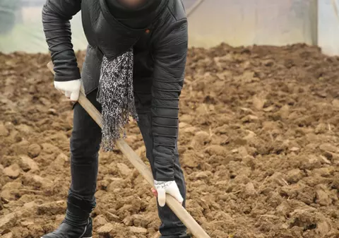 Fost component LaLaBand a ajuns să facă MUNCI AGRICOLE