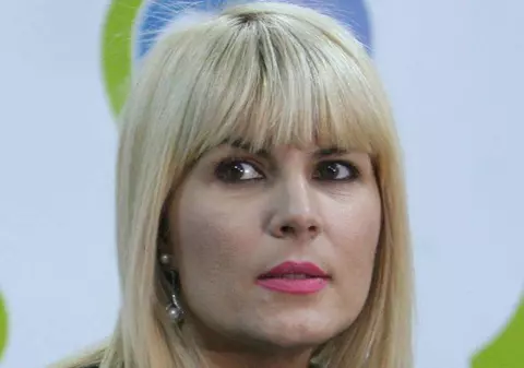 ULTIMA ORĂ: DNA cere ARESTAREA Elenei Udrea