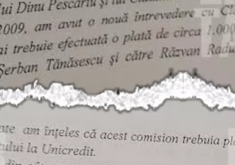 Fiul fostului ministru Tănăsescu și un bancher, menționați în Denunțul lui Cocoș