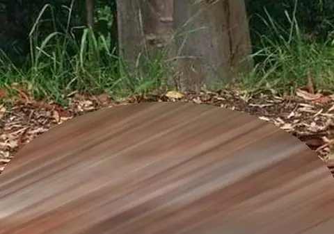 ÎN CE HAL au trasat marcajele rutiere! Și orbi dacă erau le ieșea mai bine | FOTO