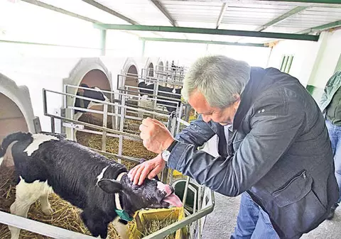 Sute de milioane de euro pentru investiţii în ferme