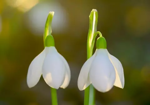 Vremea se ÎNCĂLZEȘTE. PROGNOZA METEO pentru următoarele zile