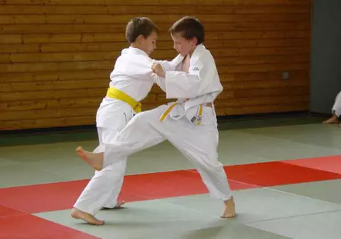 Federația de  Judo lansează programul “ Judo în școli “! Ai toate detaliile