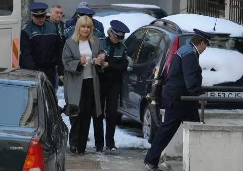 ELENA UDREA, arestată pentru 30 de ZILE