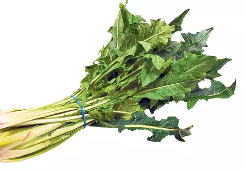 Păpădia sau ”cuiul pământului”: planta bună la toate