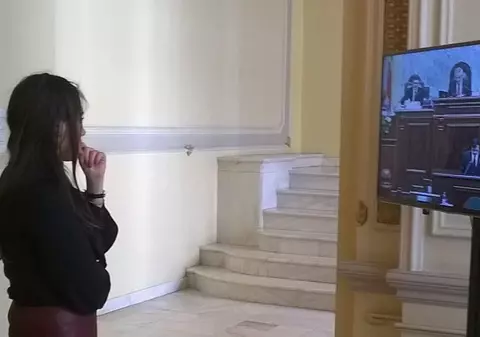 EXCLUSIV | REACȚIA deputatei CĂTĂLINA ȘTEFĂNESCU, atunci când a aflat că iubitul ei, DAN ȘOVA, a scăpat de arestare