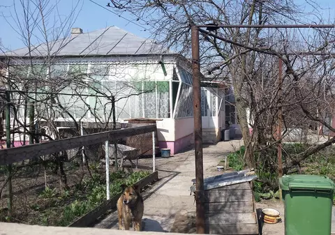 I-a strivit capul cu fierul de călcat pentru banii de pensie