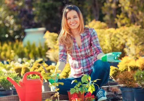 Cum să-ţi detoxifici ficatul cu mentă şi păpădie