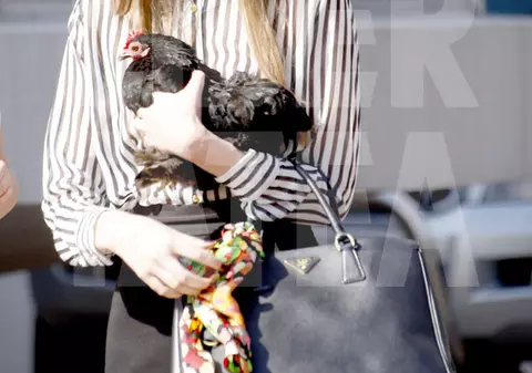 EXCLUSIV/ Iulia Albu șochează cu un nou animal de companie! Vezi cum îl sărută cu foc, direct în cioc!