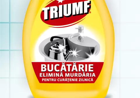 Curățenia de primăvară? Nici o problemă!