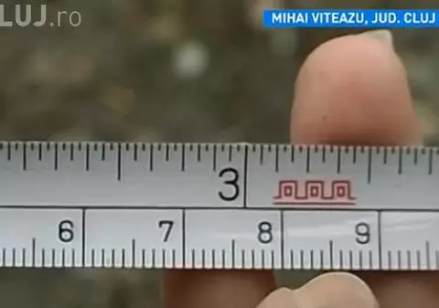 CEA MAI STUPIDĂ SENTINȚĂ! O clujeancă trebuie să își mute gardul cu 2,6 MILIMETRI