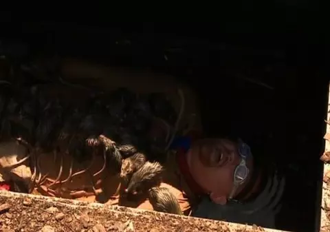 Momentul SHOWULUI! Cătălin MOROȘANU A ȚIPAT DIN TOȚI PLĂMÂNII: "Dă-te de pe CUCU' MEU!" | FOTO