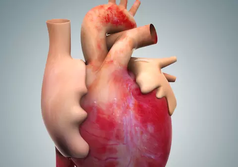 Vești bune! Vom ști ce alimente ne îmbolnăvesc INIMA!