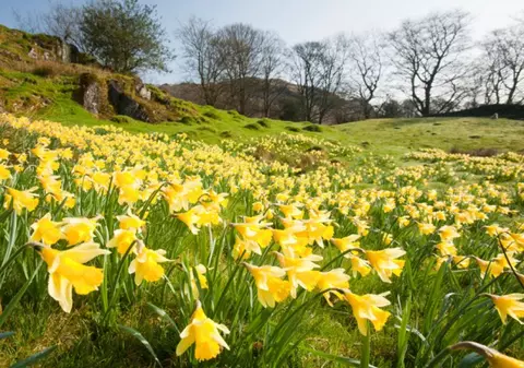 S-a dovedit științific: SE SCURTEAZĂ ANOTIMPURILE! 