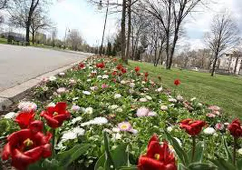 Cum se schimbă vremea în următoarele zile