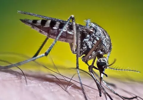 Boli cu transmitere sexuală care nu se iau doar prin transmitere sexuală 