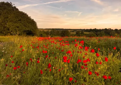 PROGNOZA METEO până în luna IUNIE. Când vine căldura