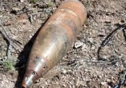 Ce a DESCOPERIT un bărbat în curtea casei sale. Îți va da FIORI