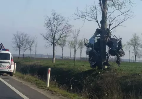 O maşină a rămas agăţată într-un copac, în urma unui accident teribil produs în Bihor