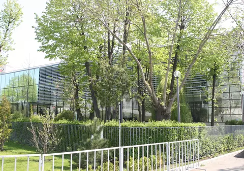 Candidații la șefia FRF parcă sunt blestemați. Mai ”cade” unul?