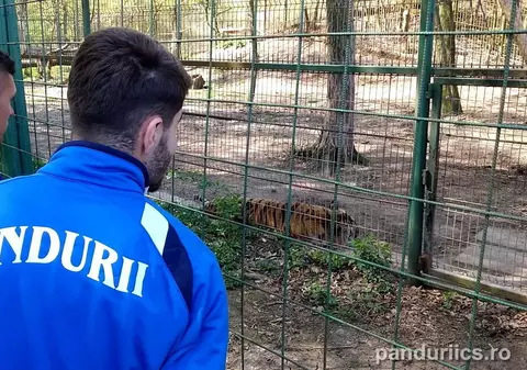 Edi Iordănescu şi-a dus jucătorii la Zoo. "Nu pierdem" / FOTO&VIDEO