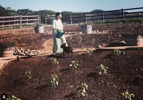 Țărăncuță, țărăncuță! Lady GaGa, la fermă, în mediul ei | FOTO