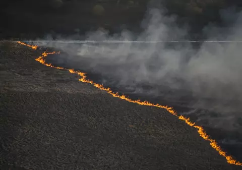 Incendiu la CERNOBÎL, în zona INTERZISĂ | FOTO