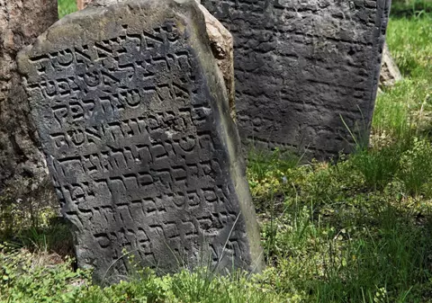 N-ai să crezi cum s-a RĂZBUNAT o SOACRĂ MOARTĂ pe GINERELE EI! L-a luat la ea INSTANT