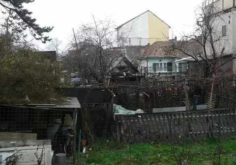 UPDATE! Ursul care a pus pe jar Sibiul a fost „adormit” cu tranchilizante! Se ascunsese într-o pivniță!