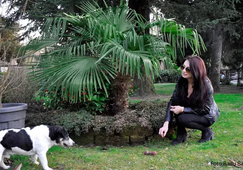 O brunetă sexy de la noi hrănește câinii maidanezi din parcuri