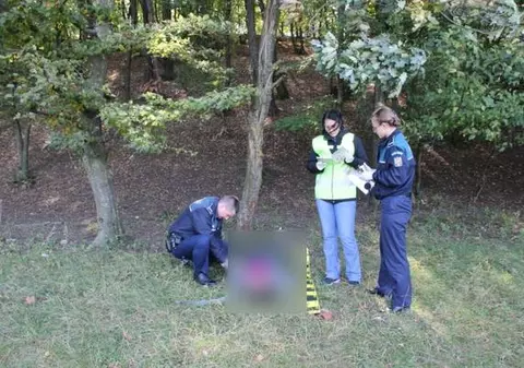 O fată de 13 ani din Vrancea, găsită spânzurată cu o eșarfă de un pom