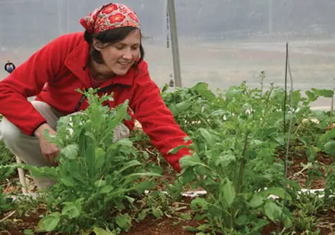 BANI pentru TINERII care PUN MÂNA PE SAPĂ 