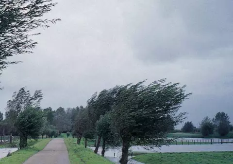 COD GALBEN de vânt! 11 județe sunt vizate