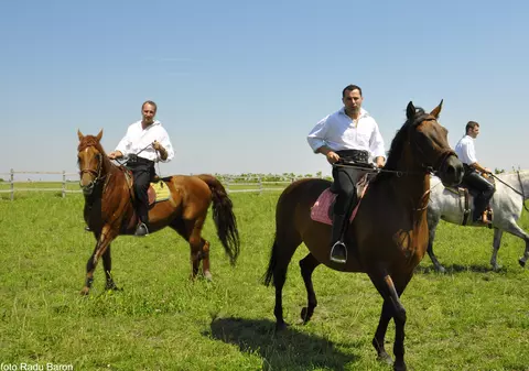 Merg să asculte la fața locului legenda narciselor
