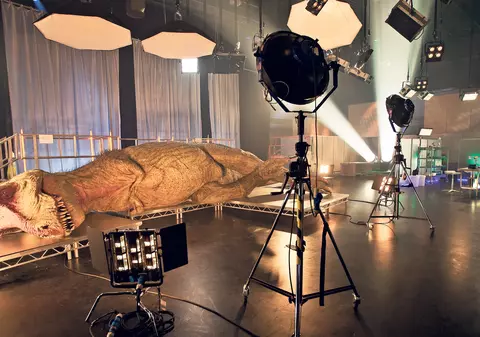 Am asistat la autopsia unui dinozaur!