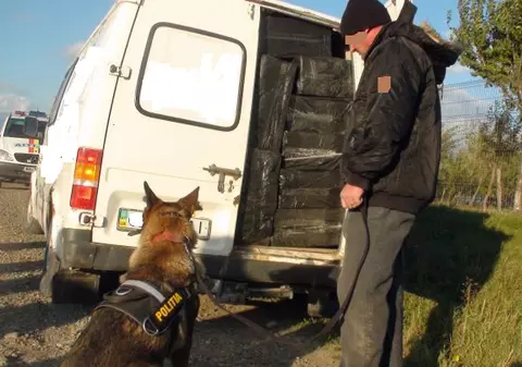 BELLA le mai dă o LOVITURĂ contrabandiștilor. Zeci de mii de ţigări de contrabandă au fost capturate