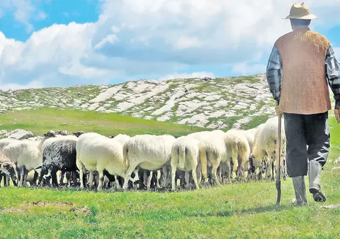 Lovitură pentru proprietarii de terenuri agricole