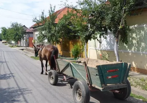 Ce şoc a avut un jucător străin din Liga 1: "N-am văzut aşa ceva niciodată: mergea calu′ pe drum!"