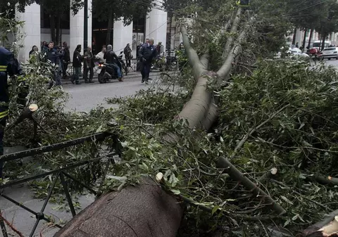 Caz şocant în judeţul Harghita. A murit după ce a fost lovit în cap de copacul pe care îl tăia