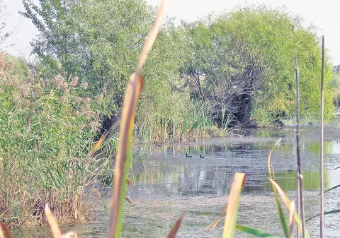 Turiști bucureșteni, rătăciți în Deltă! Cine i-a salvat 