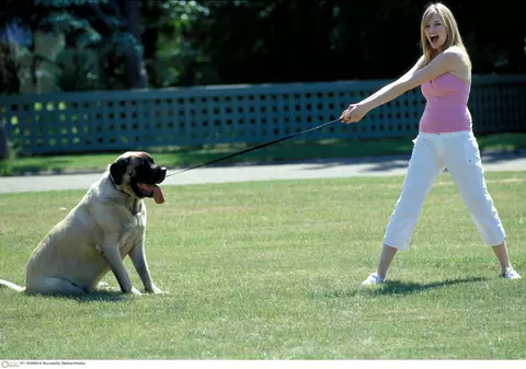 16 lucruri inevitabile de care ai parte atunci când îți duci câinele în parc