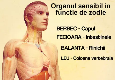 Ce boli poţi să faci, în funcţie de zodie