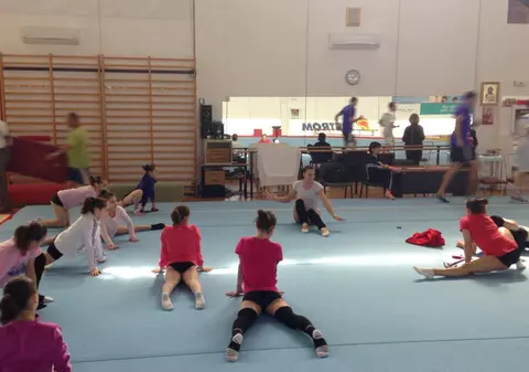 Bellu şi Bitang au responsabilizat-o pe Cătălina Ponor. Ce îndatorire are în sala de antrenament