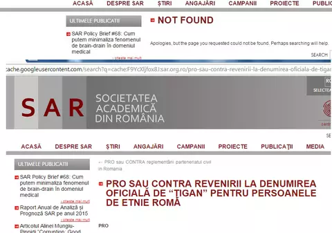 Șocant. Sondajul cu 98 la sută susținere pentru legea denumirii țiganilor a fost șters