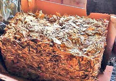 Contrabandişti de tutun «vânaţi» pe internet