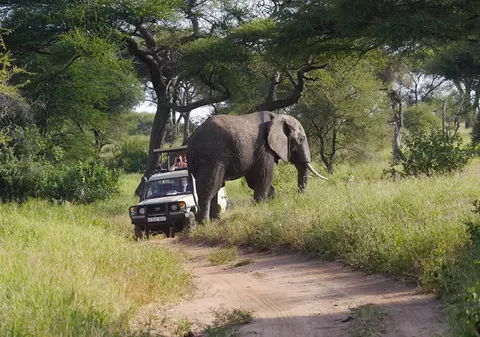 Un colaborator de-al lui Piţurcă îşi petrece vacanţa în Tanzania / GALERIE FOTO&VIDEO